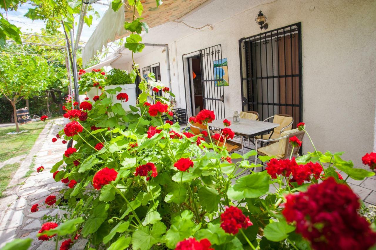 Villa Nakou House Vráchos Esterno foto